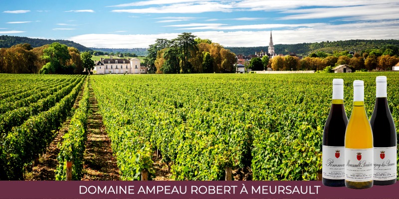 Ampeau Robet - old vintages direct from the property